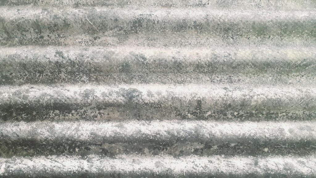 asbestos exposure, asbestos health risks, asbestos safety concerns, asbestos removal services, asbestos lawsuits, asbestos contamination, asbestos in homes, asbestos fibers health effects, asbestos exposure symptoms, asbestos risk assessment