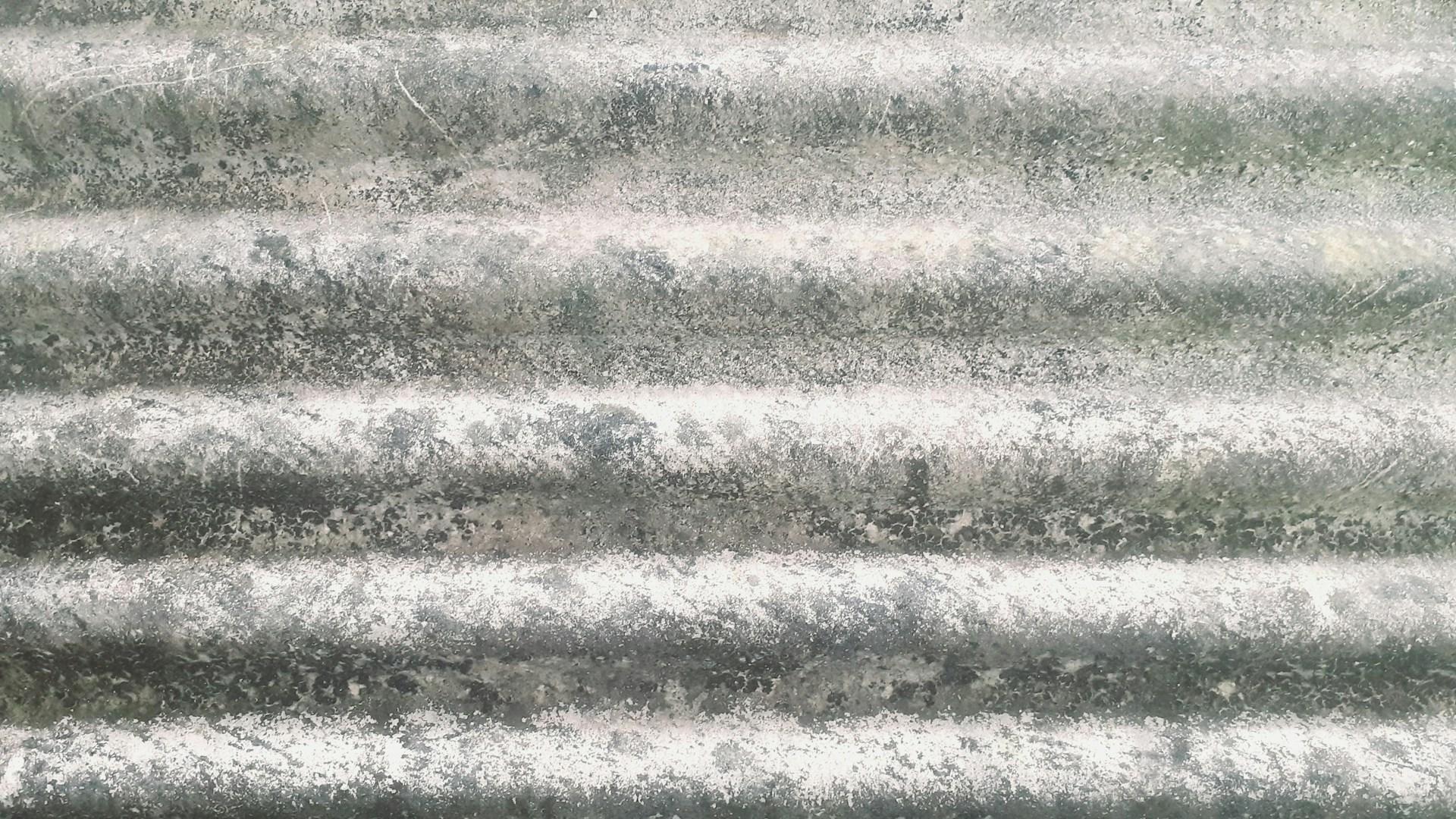 asbestos exposure, asbestos health risks, asbestos safety concerns, asbestos removal services, asbestos lawsuits, asbestos contamination, asbestos in homes, asbestos fibers health effects, asbestos exposure symptoms, asbestos risk assessment